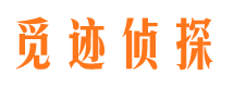 无极侦探公司